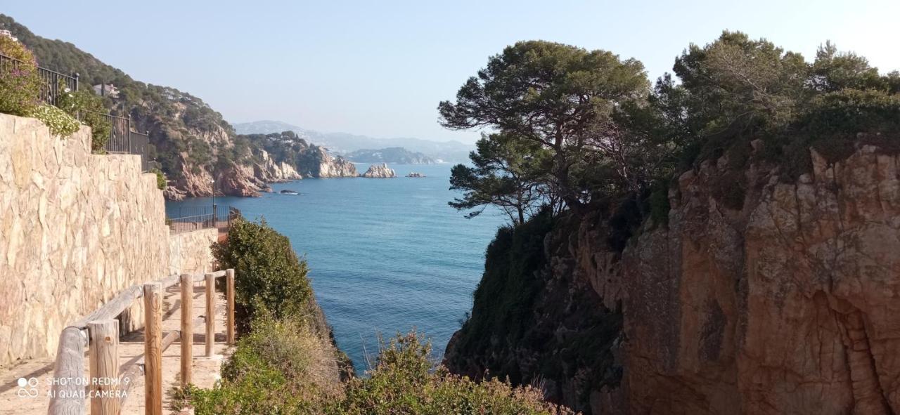 Villa Blanca 10 Minutos De La Playa Costa Brava Massanet De La Selva Eksteriør bilde