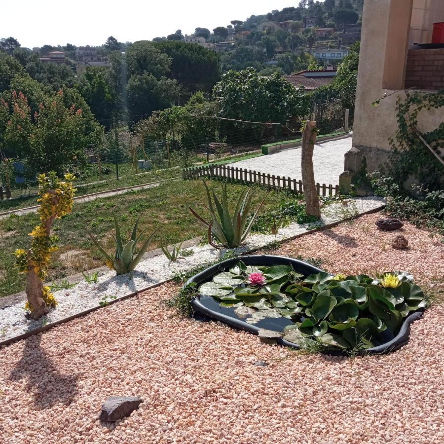 Villa Blanca 10 Minutos De La Playa Costa Brava Massanet De La Selva Eksteriør bilde